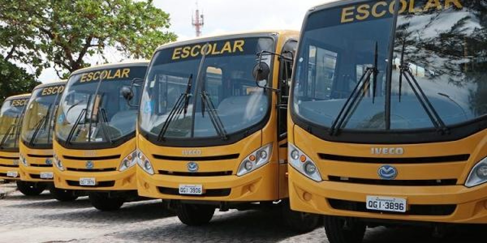 Prefeito Felício Queiroz anuncia conquista de mais 4 ônibus escolares de uma vez para São José dos Cordeiros