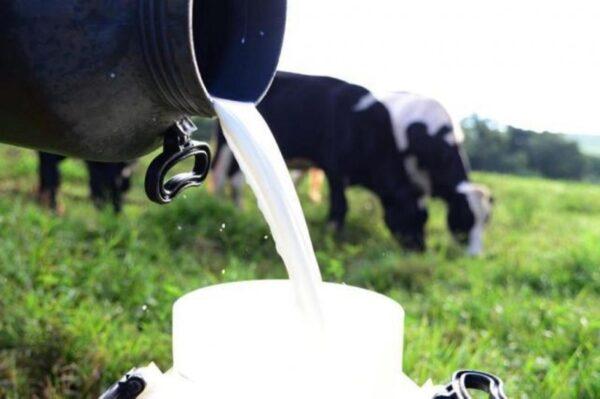 Prefeito Felício Queiroz estende incentivo sob o litro de leite para produtores de gado