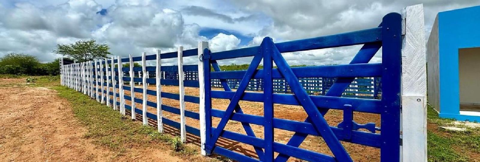 Inauguração da feira de animais foi um sucesso